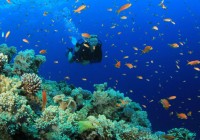 Tulamben Dive